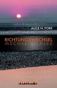 Richtungswechsel: Delikater Karriere-Roman mit originellen Solar-Ideen Alice N York Author