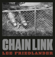 Lee Friedlander: Chain Link Lee Friedlander Photographer