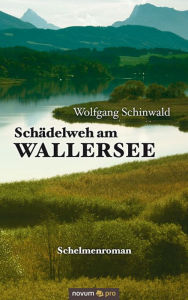 Schädelweh am Wallersee: Bahn und Post im Dienste der Exekutive - Wolfgang Schinwald