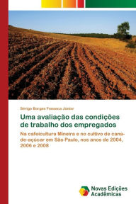 Uma avaliação das condições de trabalho dos empregados Sérigo Borges Fonseca Júnior Author