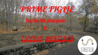 Prime Figlie eBook - Escluso Mortimer
