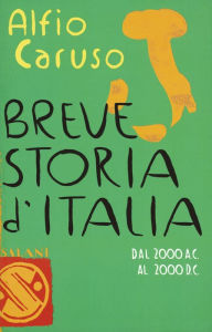 Breve storia d'Italia: Dal 2000 a.C. al 2000 d.C. Alfio Caruso Author
