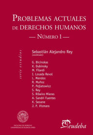 Problemas actuales en derechos humanos - Sebastián author Rey