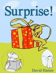 9789659194513 - David Hamer: Surprise! - ספר